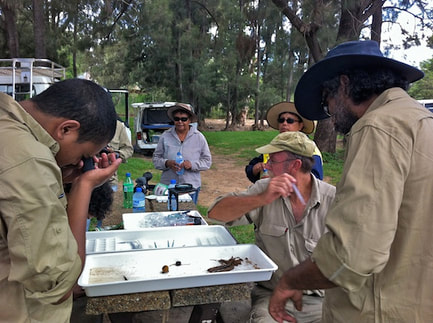 Mbabaram Traditional Owners at a water quality workshop