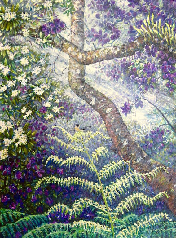 Wet Tropics Rainforest, Pam Schultz