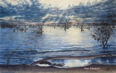 Lake Pamamaroo is one of the Menindee Lakes system in NSW